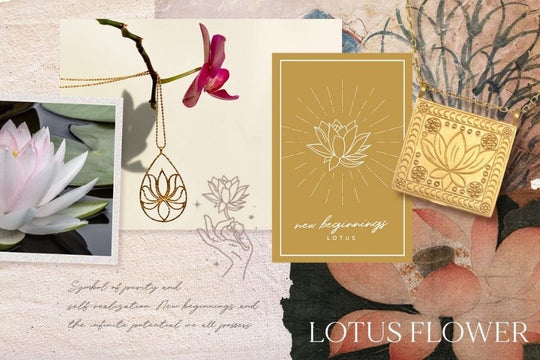 5 Interesting Facts About the Lotus Flower