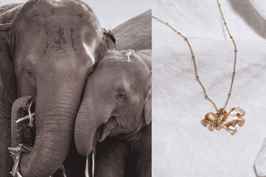 The Spiritual Meaning and Significance of the Elephant