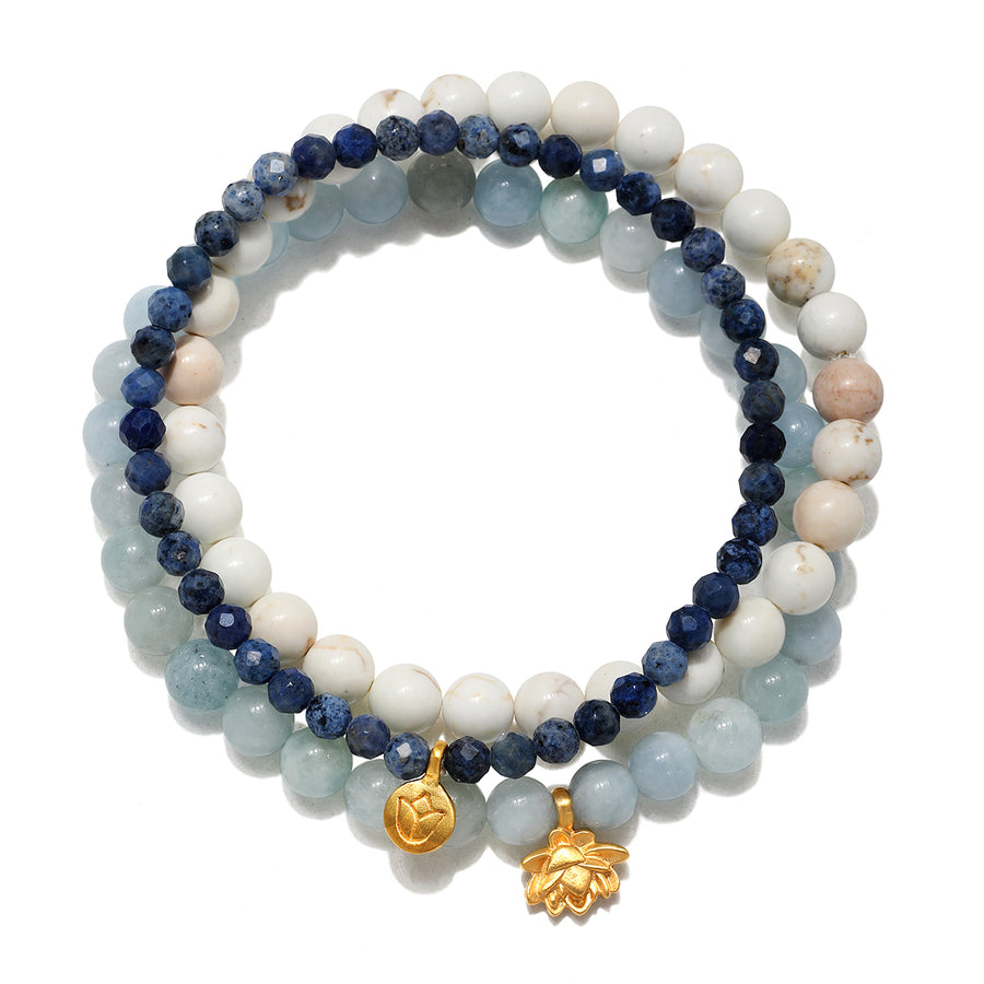 Manifest Positivity Gemstone Bracelet Set