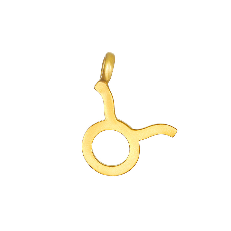 Zodiac Glyph Charm