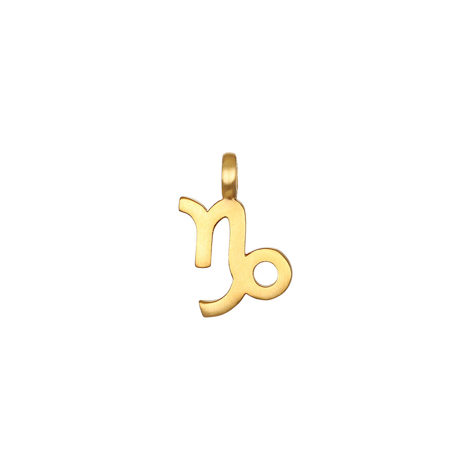 Zodiac Glyph Charm